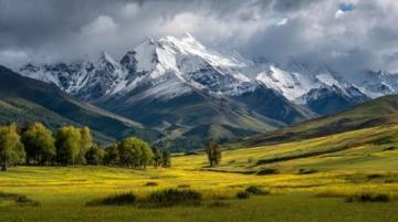 新疆定制旅行｜見(jiàn)證花開(kāi)的一瞬間