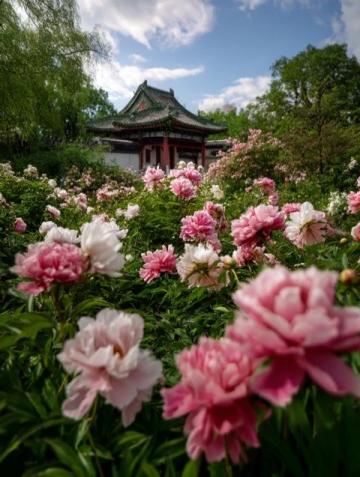 
暑期北京旅游盛況空前：烈日風(fēng)雨阻擋不了游客的熱情