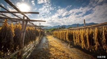四地一夜游：潮汕之旅深度探訪汕頭、南澳島、潮州、揭陽(yáng)美景