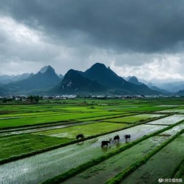 雄安兩日游全攻略：白洋淀美景與城市風(fēng)光一網(wǎng)打盡