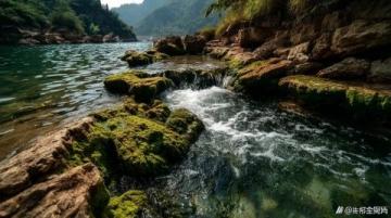 云南自駕108天：遇見普洱的慢生活與人情味