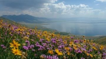 春天賞花山水行，探索自然文化新體驗(yàn)