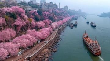 閑暇時用武漢旅游年卡免費體驗長江游輪之旅