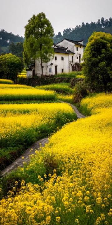 春天賞花山水行，探索自然文化新體驗(yàn)