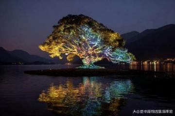 探索達(dá)達(dá)線：詳盡的自駕游指南 - 暢享達(dá)里湖之旅