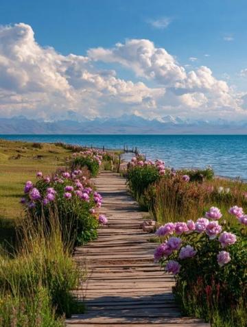 探索達(dá)達(dá)線：詳盡的自駕游指南 - 暢享達(dá)里湖之旅