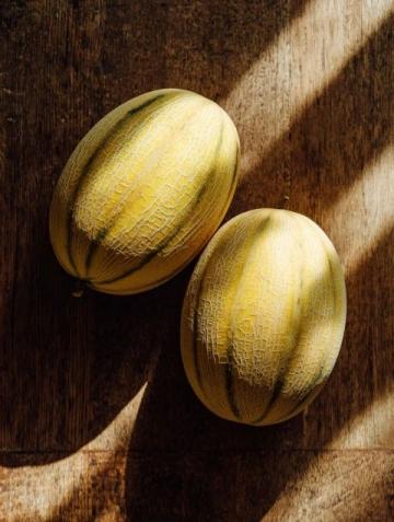 日本網(wǎng)文瓜種植中墊瓜的作用技術(shù)知識點總結(jié)