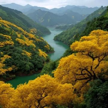 九寨溝旅游夏天攻略(九寨溝的旅游攻略)