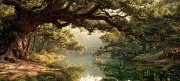 平安寨梯田位于廣西龍勝各族自治縣龍脊鎮(zhèn)平安村龍脊山，是龍脊梯田的核心景區(qū)之一