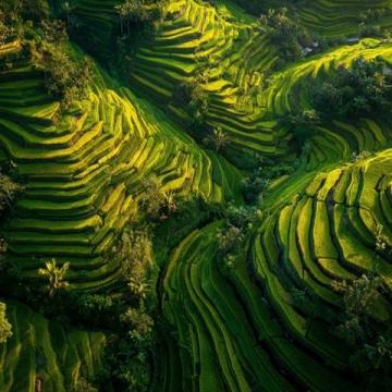 平安寨梯田位于廣西龍勝各族自治縣龍脊鎮(zhèn)平安村龍脊山，是龍脊梯田的核心景區(qū)之一