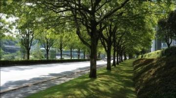 佛山一日游攻略：歷史文化與自然風(fēng)光之旅