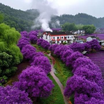 2023年春季鄉(xiāng)村旅游精品線路推薦：賞花踏青好去處