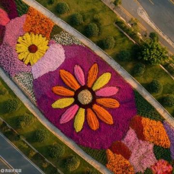 貴陽(yáng)花溪高坡云頂花海景區(qū)自駕游指南