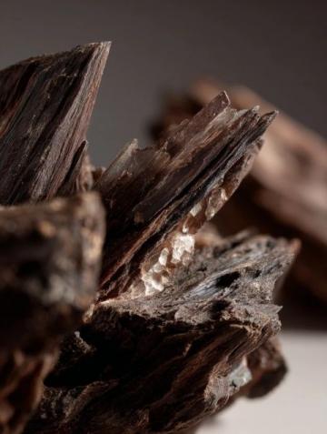 沉香入門指南：認識、鑒別與選購技巧