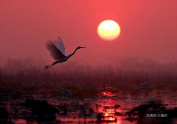 金華福田濕地公園四季美景攻略：尋味自然，享受寧靜時光