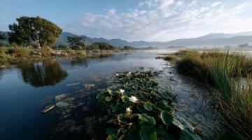 西雙版納超熱門景區(qū)推薦來一場說走就走的旅行吧！