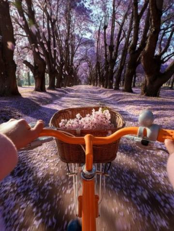 小手牽著大手，玩轉五一路！