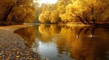 林芝秋日旅行攻略：藏地江南的絕美風(fēng)光