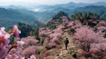 云南旅游全攻略：春季賞花、夏季避暑、秋季觀景、冬季避寒，玩轉(zhuǎn)滇西北、滇南、滇東南