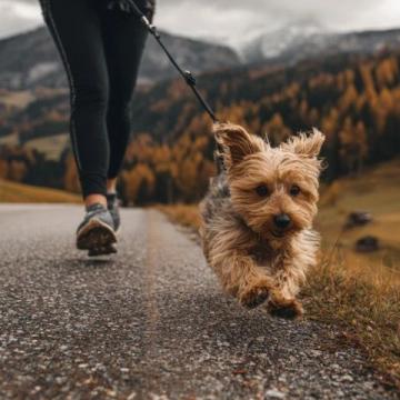 甘南秋季旅游避坑攻略_甘南轉(zhuǎn)經(jīng)筒旅游攻略