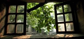 旅行我的旅行日記豫園旅行攻略探尋上海古典園林之美