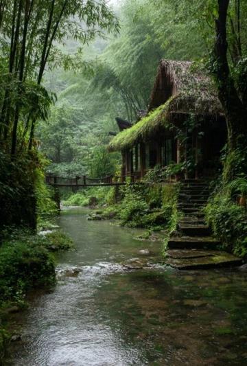雨中偶遇的溫暖：青城后山之旅的意外收獲