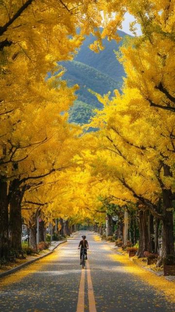 黃金時(shí)節(jié)自駕游：跨國(guó)秋景之旅的魅力