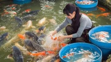 探秘陽澄湖：尋覓大閘蟹正宗之味的深度之旅-以阿四蟹莊為例