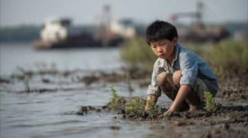 探秘陽澄湖：尋覓大閘蟹正宗之味的深度之旅-以阿四蟹莊為例