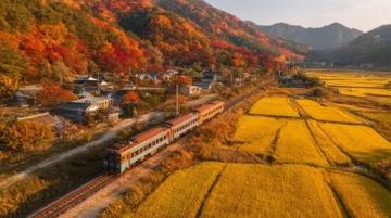 內(nèi)蒙古阿爾山：秋季千變?nèi)f化之美不容錯過