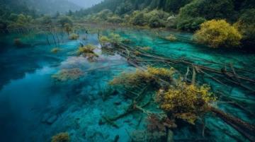 九寨溝景區(qū)門(mén)票價(jià)格及交通指南