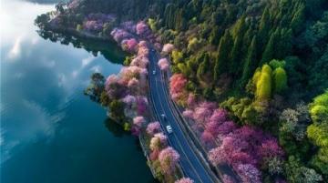 滇池環(huán)湖路自駕游攻略：最美環(huán)湖風(fēng)光與騎行慢跑之旅