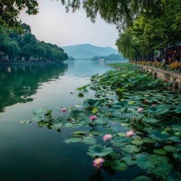 探尋杭城夏日：西湖之旅——第一天深度秘境行