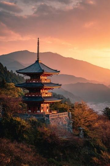 五十萬張赴日機票被退，日本旅游業(yè)損失千億，游客轉(zhuǎn)向新目的地