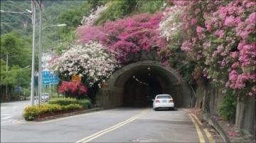 春天必打卡滎陽賞花攻略來襲！吃喝玩樂全包括~