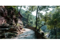 河南多家景區(qū)發(fā)布活動公告，特此通知了這些人員可以享受免費入園和觀看各類演出的優(yōu)惠政策！