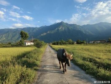 川西自駕游記：探訪梭坡古碉樓、亞拉雪山與墨石公園的奇幻之旅
