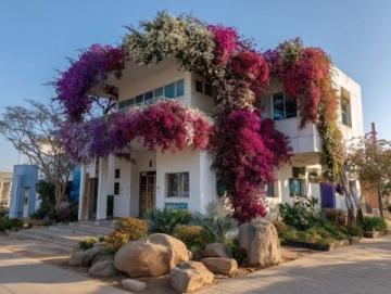 廈門集美區(qū)集美學(xué)村旅游攻略：融合教育與文化的綜合性景區(qū)