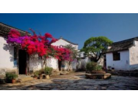 安昌古鎮(zhèn)旅游攻略：交通、住宿與必游景點(diǎn)全指南