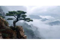 貴州梵凈山三日游攻略：云端朝圣與秘境穿越