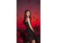 鹽城浪漫郁金香之旅：花開如海，體驗中國第一花田的獨特魅力